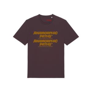 Anamorphic Paths Red Brown T-shirt